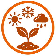 Collection image for: All Season Seeds