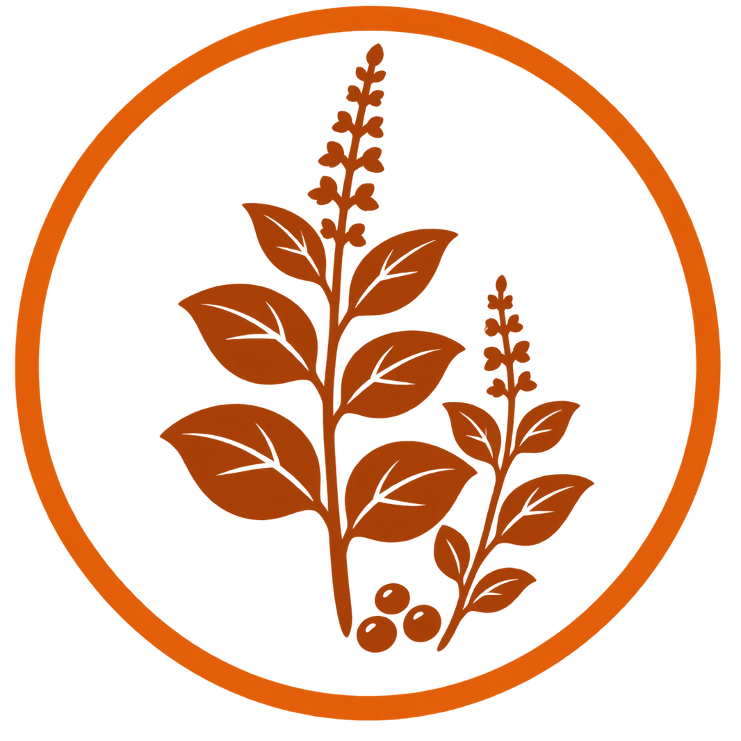 Buy Native Heirloom Seeds Online | Vegetable, Herb & Flower Seeds ...