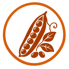 Collection image for: Legume Seeds