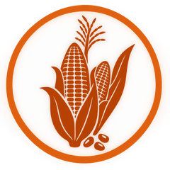 Collection image for: Corn Seeds