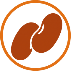 Collection image for: Seeds