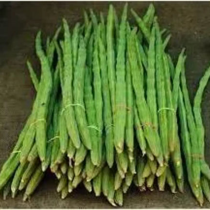Drumstick Ongole ODC 3 Tree Type native seeds