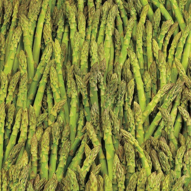Heirloom Mary Washington Asparagus Seeds