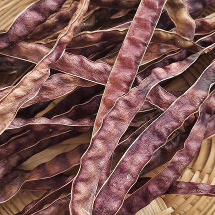 Red Fibreless Cow pea heirloom seeds