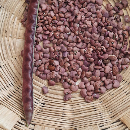 Red Fibreless Cow pea heirloom seeds
