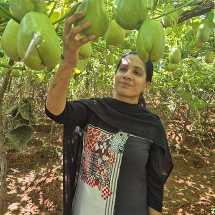 Native Chayote (Chow Chow செள செள) organic seeds