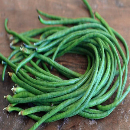 Green yard long bean Gardening seeds