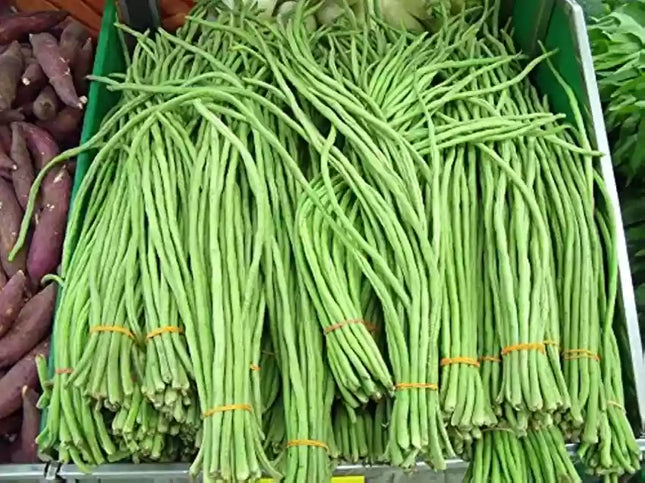 Bush Green CowPea Gardening Seeds