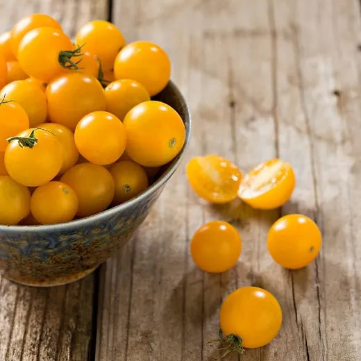 Yellow Round Cherry Tomato open pollinated seeds