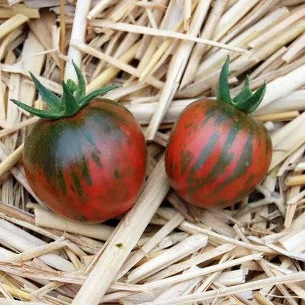Heirloom Black Vernissage tomato seeds