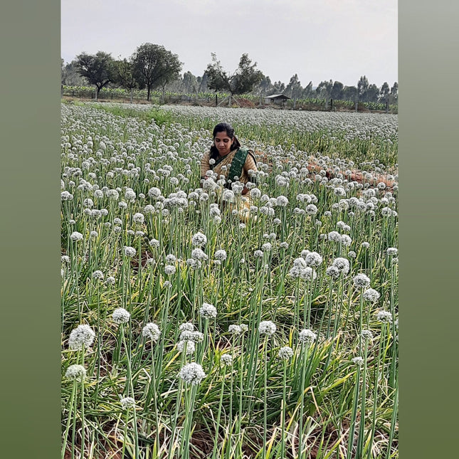 Native Sambar Small Onion Seeds