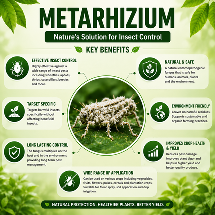 Metarhizium 1 Litre | Metarhizium Anisopliae Bio Insecticide | HOOGA Seeds