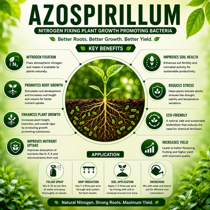 Azospirillum 1 Litre | Nitrogen-Fixing Biofertilizer for Plants | HOOGA Seeds