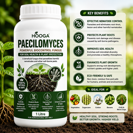 Paecilomyces 1 Litre | Bio-Nematicide for Root-Knot Nematodes | HOOGA Seeds