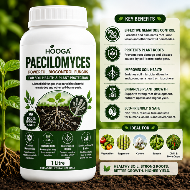 Paecilomyces 1 Litre | Bio-Nematicide for Root-Knot Nematodes | HOOGA Seeds