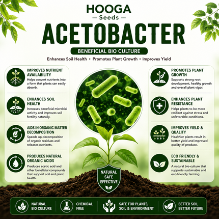 Acetobacter 1 Litre | Nitrogen-Fixing Biofertilizer | HOOGA Seeds