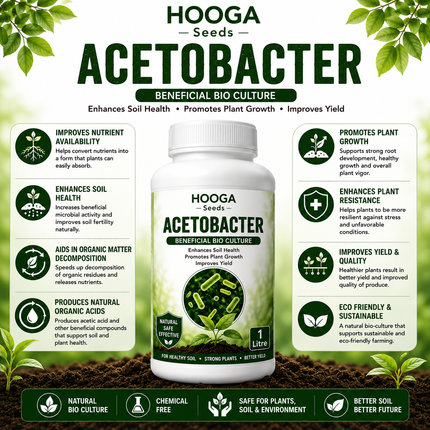 Acetobacter 1 Litre | Nitrogen-Fixing Biofertilizer | HOOGA Seeds