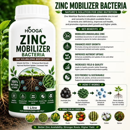 Zinc Mobilizer Bacteria 1 Litre – Zinc Solubilizing Biofertilizer for Plants and Crops - HOOGA Seeds