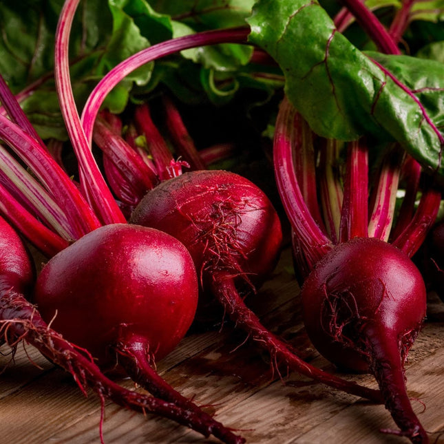 Beetroot Detroit Dark Red OP Seeds
