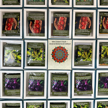Mini Seed Vault-Heirloom Seed Gift Box-HOOGA Seeds