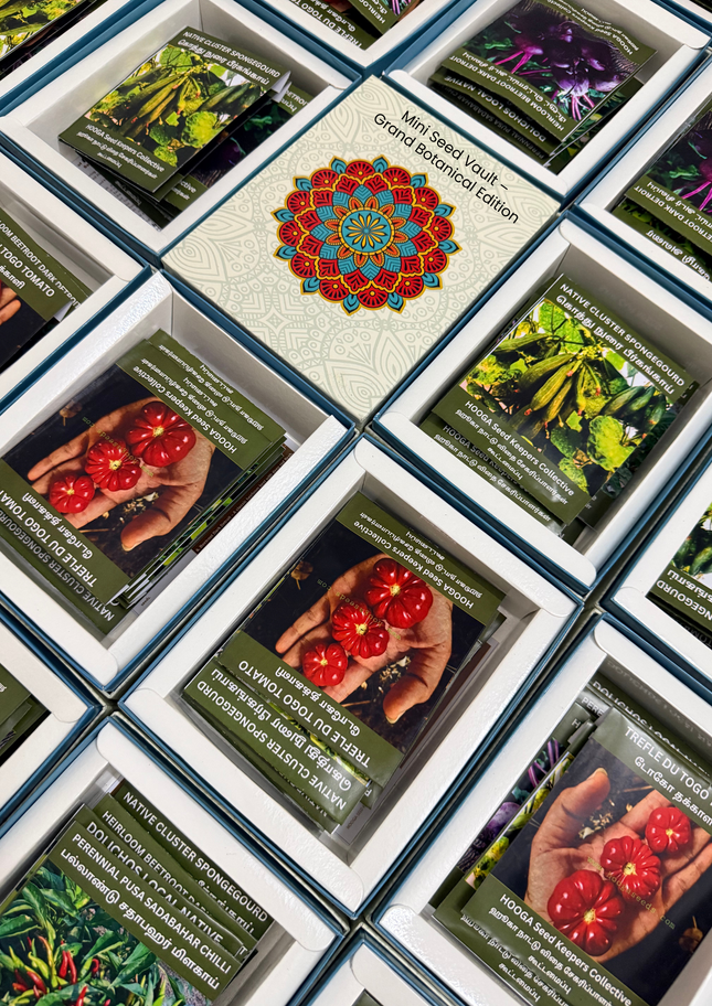 Mini Seed Vault-Heirloom Seed Gift Box-HOOGA Seeds