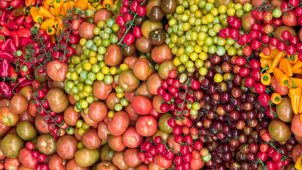 Shop country, heirloom and open-pollinated tomato seeds online. Juicy, flavourful and easy to grow.