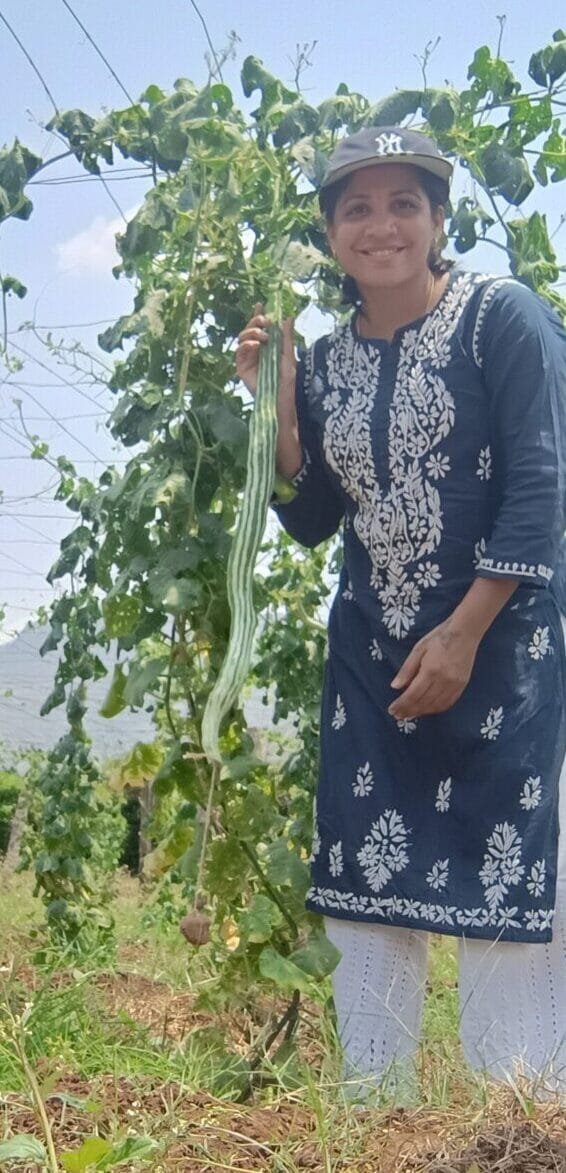 Snakegourd Green Long vegetable seeds / பாம்பு புடலை