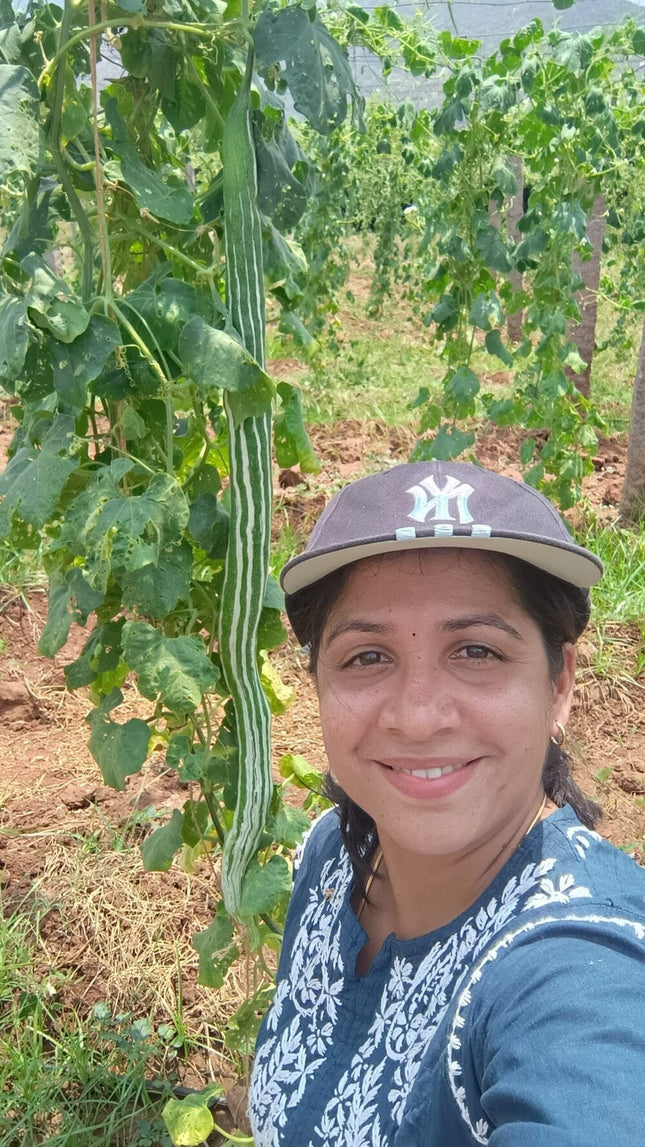 Snakegourd Green Long vegetable seeds / பாம்பு புடலை