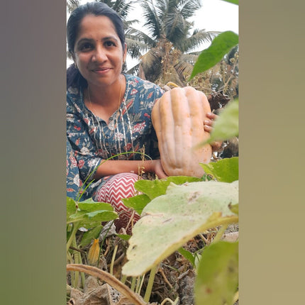 Madurai Flower Pumpkin vegetable Seeds