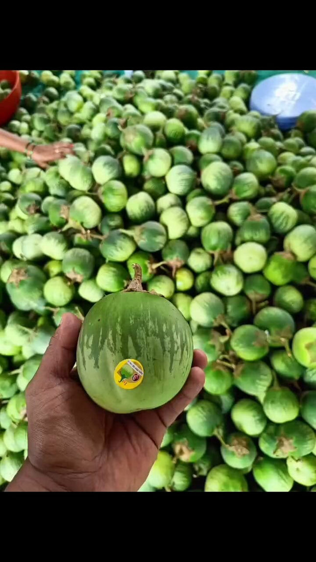 Heirloom Mattu Gulla Brinjal Seeds