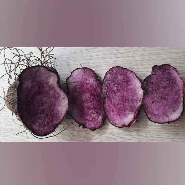 Purple Yam Tuber seeds
