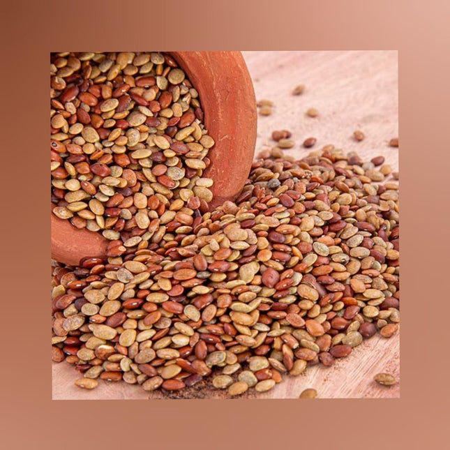Native Red Horse Gram Seeds / Sivappu Kollu