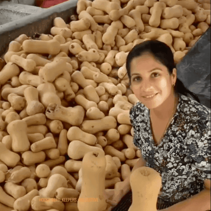 Heirloom Butternut Pumpkin Vegetable Seeds
