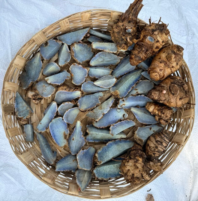 Black Turmeric Rhizome Seeds