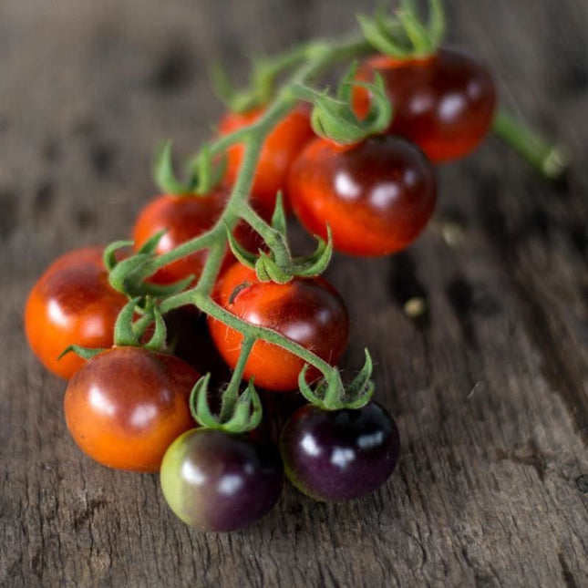 Heirloom Blue Berry Cherry Tomato Seeds