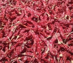 GI Tagged Byadgi Chilli Seeds