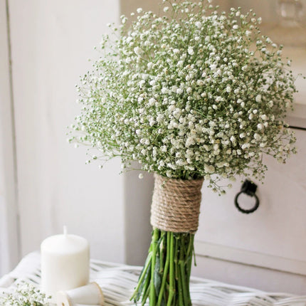 Gypsophila White Flower Seeds–Babys Breath-Ideal for Bouquets and Borders