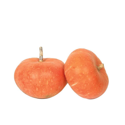 Sugar Pumpkin vegetable Seeds