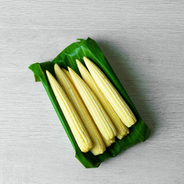 Heirloom Baby Corn Zea Mays Seeds