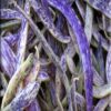 Dragon Tongue Bean Gardening Seeds - Image 3
