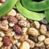 Lima Bean Gardening Seeds