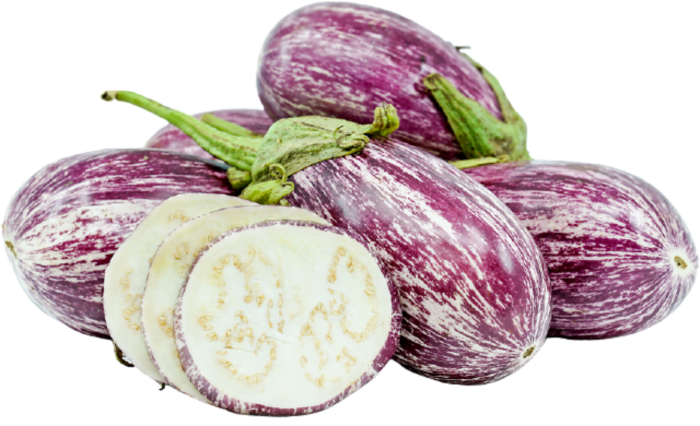 Striped Purple Brinjal