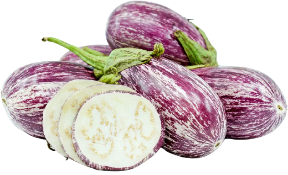 Striped Purple Brinjal