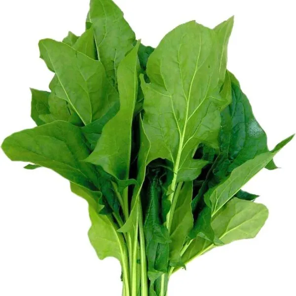 Palak spinach green leafy vegetable seeds