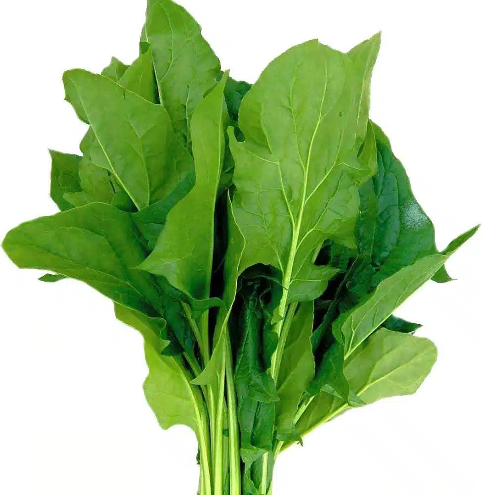 Palak spinach green leafy vegetable seeds