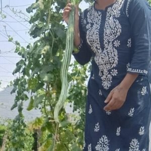 Snakegourd Green Long vegetable seeds