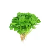 Coriander Seeds Kothamalli Vidhai vegetable seeds