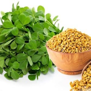 Fenugreek leafy vegetable vendhaya keerai seeds