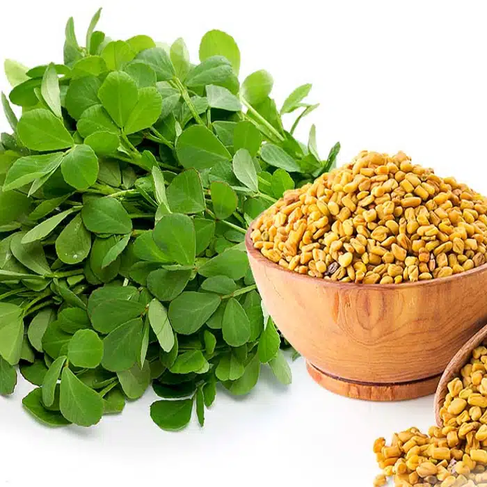 Fenugreek leafy vegetable vendhaya keerai seeds