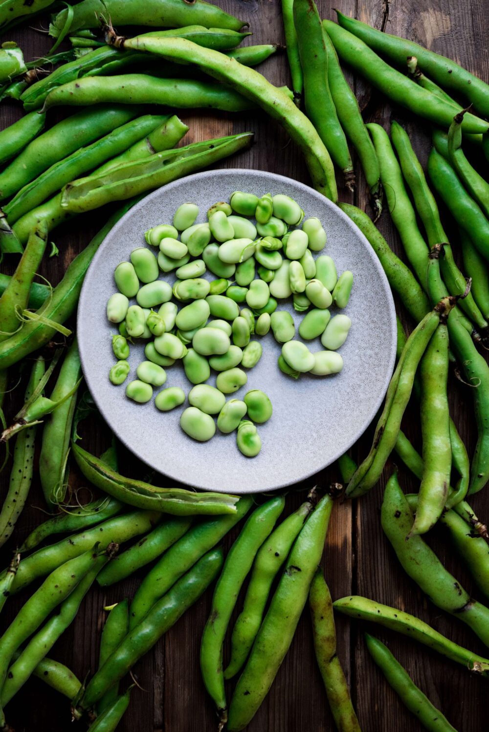 Fava Bean Gardening Seeds